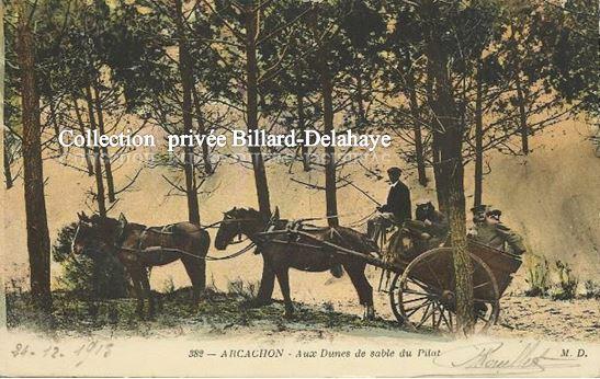 1915 - ARCACHON AU DUNES DE SABLE DU PILAT.