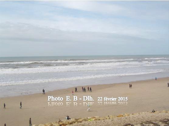 Lacanau  Océan le 22 février 2015. Chien blanc sur la plage.