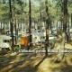 CAMPING DU TEDEY A LACANAU  (Gironde) - Courrier de 1966.