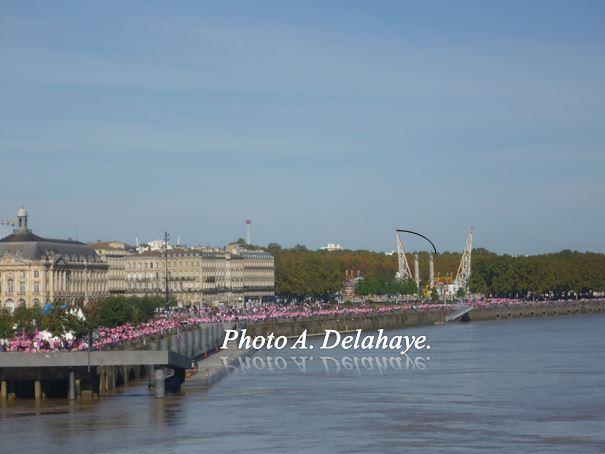 Challenge RUBAN ROSE 2013.