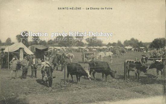 SAINTE HELENE - Médoc (Gironde). LE CHAMP DE FOIRE en 1900.