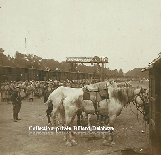 Guerre 1914/1918 - EMBARQUEMENT DES CHEVAUX POUR LE FRONT.