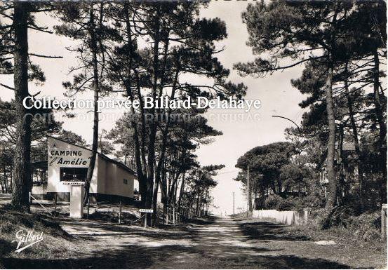 CAMPING DE  L'AMELIE - SOULAC-SUR-MER (Médoc). Cp envoyée en 1963.