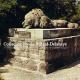 LE LION BLESSE à Fleury-devant-Douaumont (55).