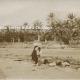 OASIS DE GABES EN TUNISIE - 1902 -