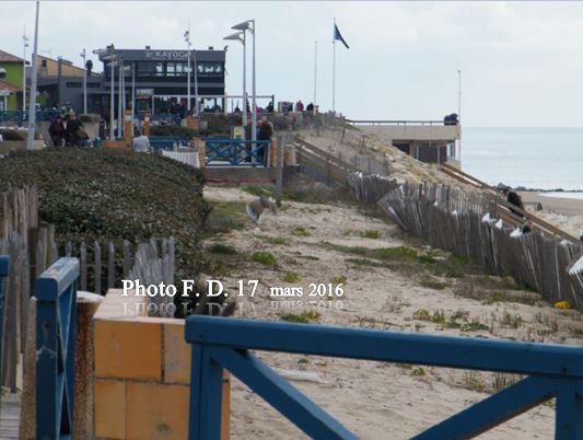 LACANAU-OCEAN (Gironde). FRONT DE MER LE 20.03.2016.