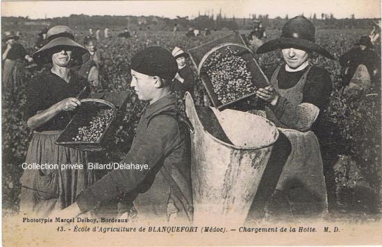 Chargement de la hotte; école d'agriculture.