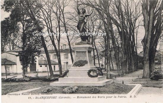 Platanes du monument aux morts.