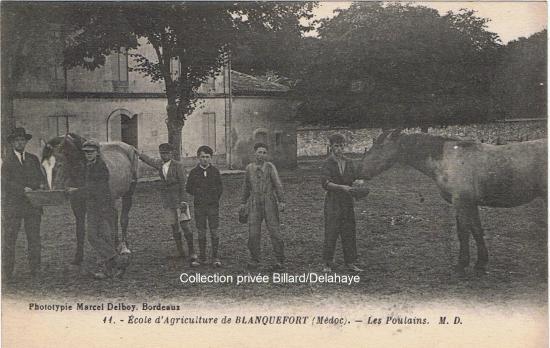 Les poulains ; Ecole d'agriculture.