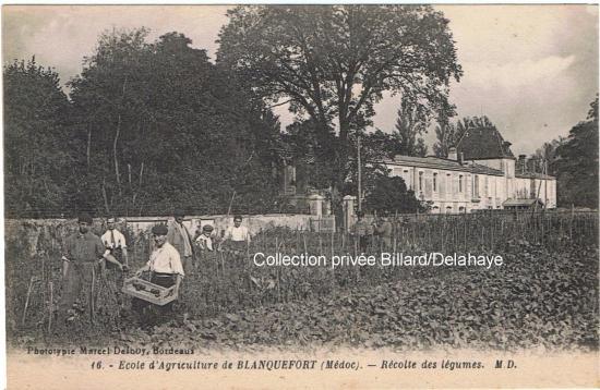 Récolte des légumes, Ecole d'agriculture 1936