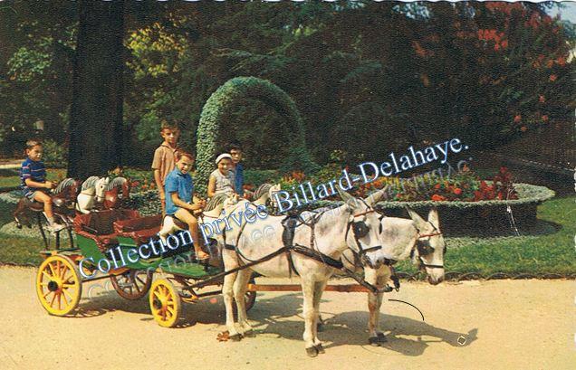 COQUETTES du Jardin Public de Bordeaux.