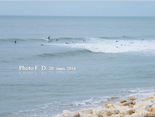 LACANAU-OCEAN (Gironde) 20 mars 2016 - Rameaux-Printemps -