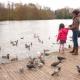 LA PETITE FILLE ET LES CANARDS PARC DE MAJOLAN - Pâques 2015 -