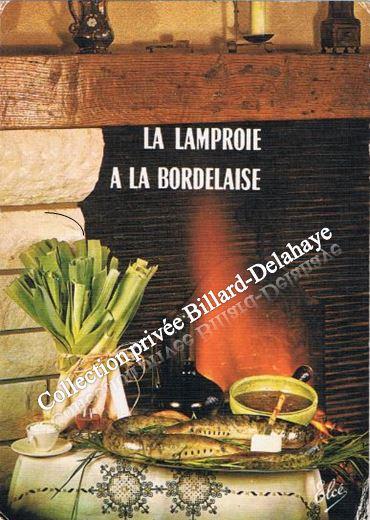 La LAMPROIE à la BORDELAISE.