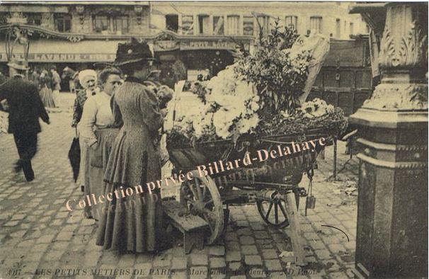 LA MARCHANDE DE FLEURS. (Souvenir:celle de la place de la Comédie).