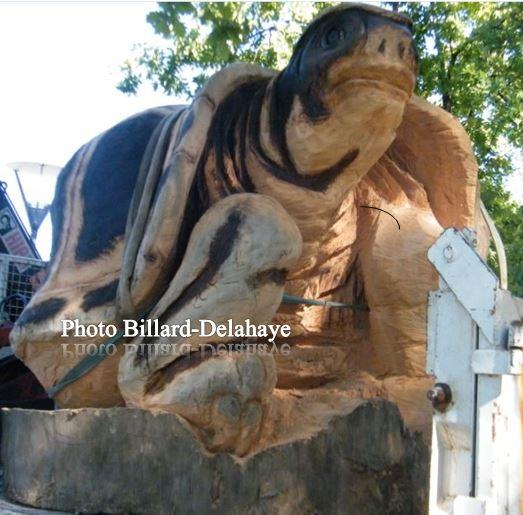 LA TORTUE, de 3 tonnes sculptée dans un cyprès.