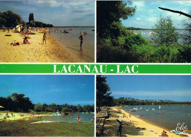 LACANAU - LAC -  L'Etang du Moutchic -