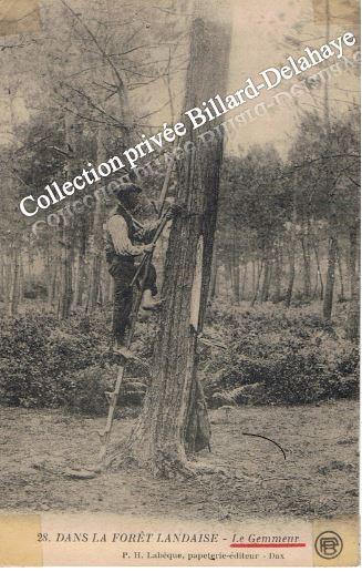 LE GEMMEUR sur son échelle à SOULAC (Médoc) vers 1900.