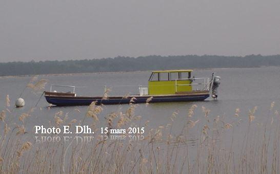 ETANG DE LACANAU ( Médoc).