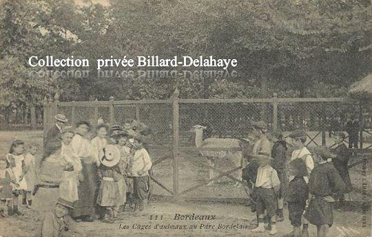 111 - CAGES D'ANIMAUX AU PARC BORDELAIS VERS 1900.