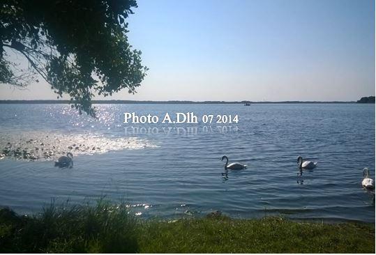 LE MOUTCHIC - ETANG DE LACANAU GIRONDE -