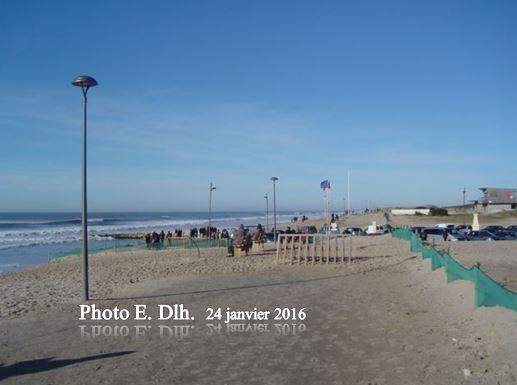 MONTALIVET  Médoc  33. Le 24.01.2016, ce qu'il reste de la plage.