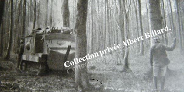 Une silhouette imposante dans la forêt en 1917