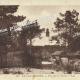 Le CAP-FERRET - Gironde - VUE SUR LE PHARE - AVANT 1930 -